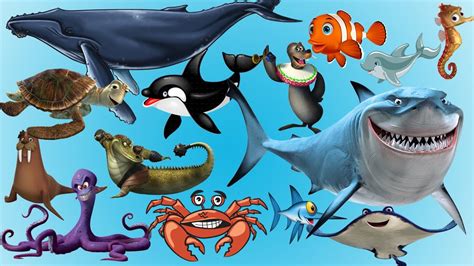 Learn Sea Animals Amazing Sea Animals Names And Sounds For Kids