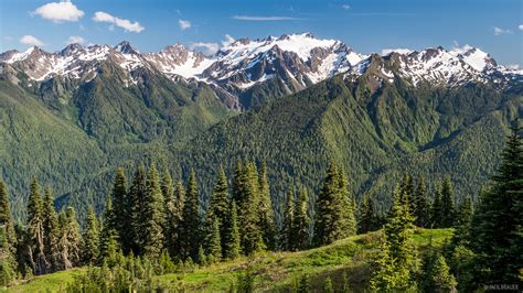 Olympic Peninsula Mountain Photographer A Journal By Jack Brauer