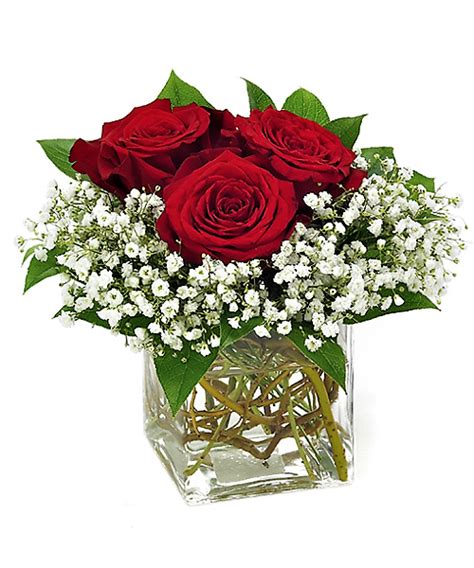 We would like to show you a description here but the site won't allow us. Avas Flowers Lafayette La - Louisiana Florists Flowers ...