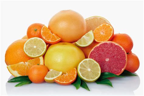 Winter Fruits Health Benefits Of Fruits In Winter For A Healthy Lifestyle