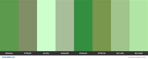 Greens Colors Palette 5b9a4c 7f8e64 Ccffcc Colorswall