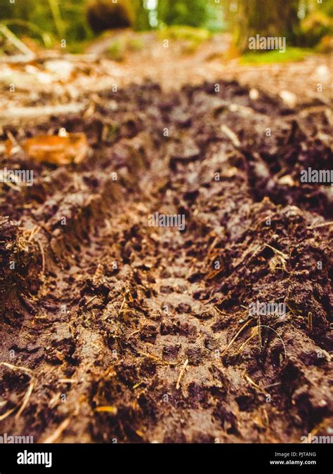 Dirt Paths Hi Res Stock Photography And Images Alamy