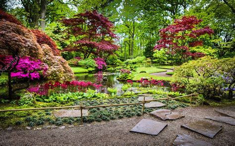 Traditional Japanese Garden. — Stock Photo © innervision #158487118