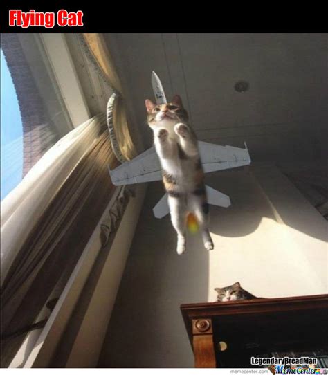 Flying Cat By Legendarybreadman Meme Center