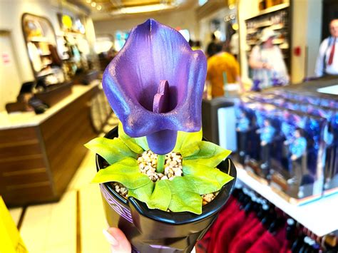 'Black Panther' Heart-Shaped Herb Artificial Plant Now Available at