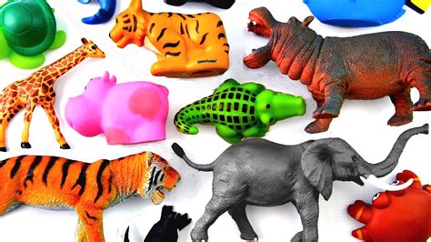 Wild Zoo Animals Educational Video For Kids Learning