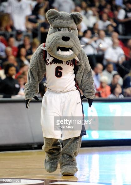 Make sure to check out the rest of the gonzaga collection here. Gonzaga Bulldogs mascot Spike the Bulldog appears on the court during... News Photo | Getty Images