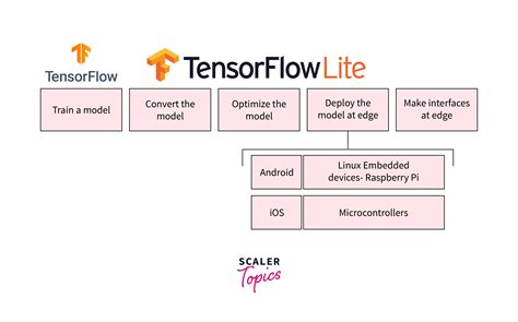 Object Detection On Custom Dataset Using Tensorflow T Vrogue Co