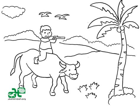 Dalam mengontrol kecepatan aliran dan dosis cairan infus atau obat, infusion pump dilengkapi sensor elektronik dan mekanik yang diatur menggunakan mikro komputer digital, sehingga hasilnya lebih. Mari Mewarna Gambar Pemandangan Sangat Cantik diantara 15 ...