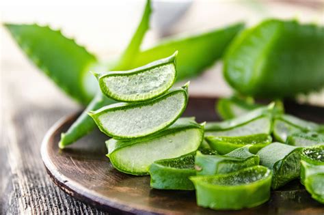 Aloe Vera Properties And Its Potential Applications In Medicine And
