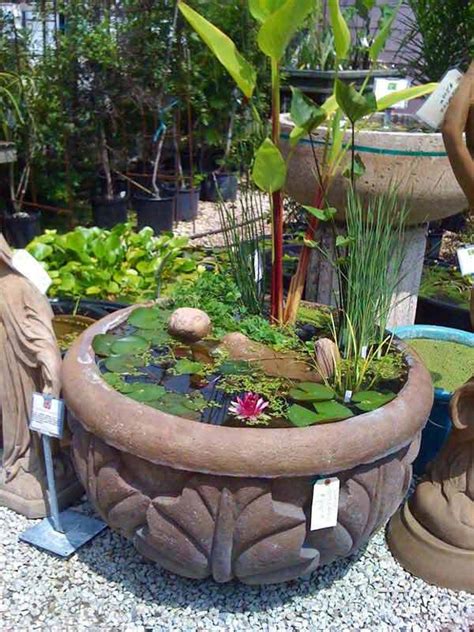 The water line in a wildlife pond will naturally fluctuate but as it drops this can expose an unsightly pond liner. 21 Fascinating Low-Budget DIY Mini Ponds In A Pot ...