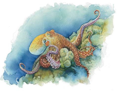 Life Under The Sea Watercolor Octopus