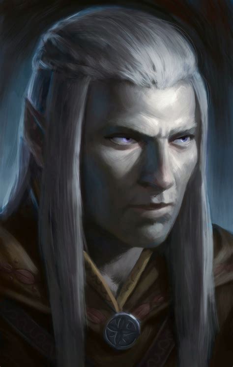 Pin By Abderian Aeolist On Characters Drow Male Elf Warrior Fantasy