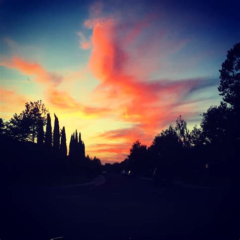 Painted Sky In California Outdoors California Sky Celestial Sunset