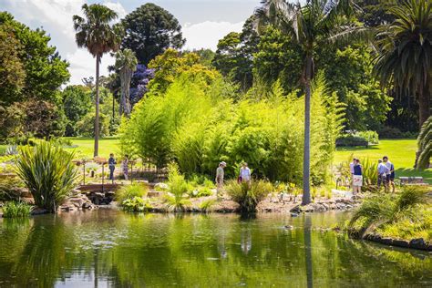 The Next 20 Years For Melbournes Botanic Gardens Landscape Australia