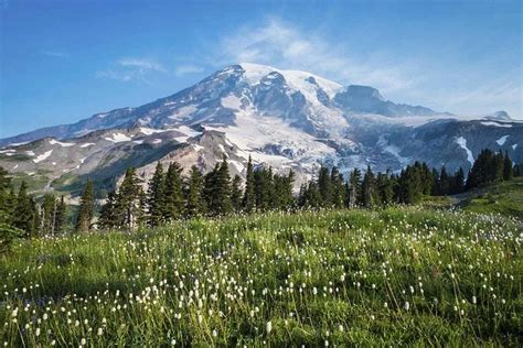 1 Day Mt Rainier National Park Tour From Seattle Wa Triphobo