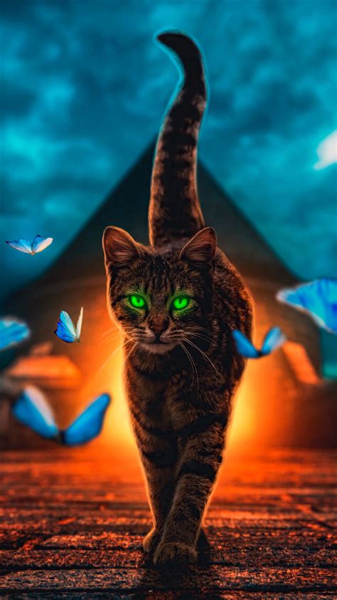 Pixel Art Pixels Cat Wallpapers Hd Desktop And Mobile Backgrounds Images