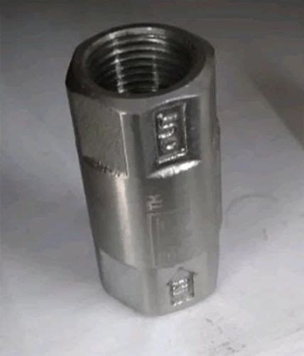 Stainless Steel Non Return Valve At Rs Piece Ss Non Return Valve