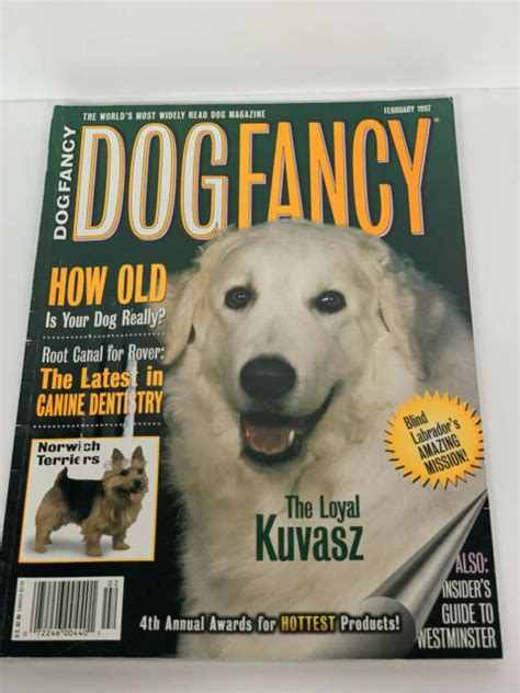 Dog Fancy Magazine~feb 1997 Kuvasz Cover~the Loyal Kuvasz~ Ebay