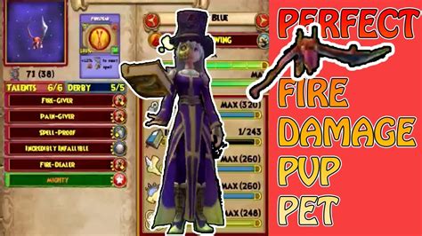 Wizard101 Perfect Fire Damage 🐷 Pet 😍 For Pvp ⚔️ Youtube