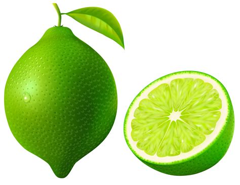 Free Lime Cliparts Download Free Lime Cliparts Png Images Free