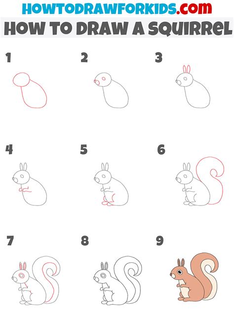 How To Draw A Squirrel Easy Drawing Tutorial For Kids