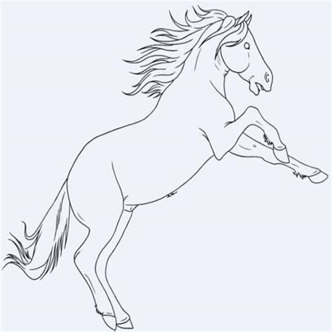 Sketsa Gambar Kuda Renggong Contoh Sketsa Gambar