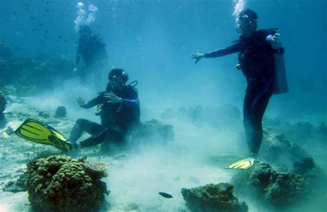 An Ultimate Guide To Experience Scuba Diving In New Jersey