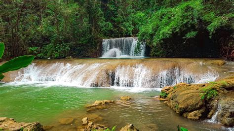 Mayfield Falls Jamaica The Ultimate Guide Sandals
