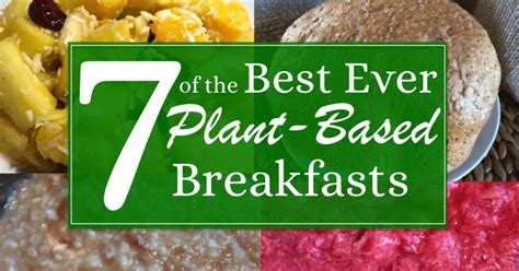 It is loaded with plant based protein such as tofu, chickpeas, spinach, mushrooms, kiwi and blackberries. 7 of the best ever plant-based breakfasts