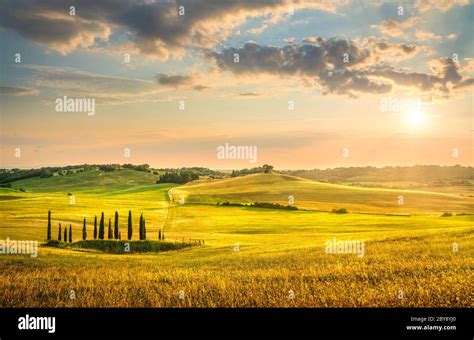 Sunset Landscape In Maremma Countryside Rolling Hills And Cypress