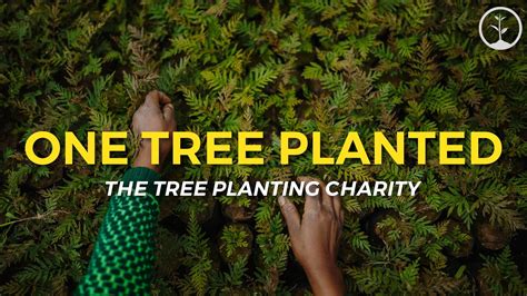 One Tree Planted The Tree Planting Charity One Tree Planted Youtube