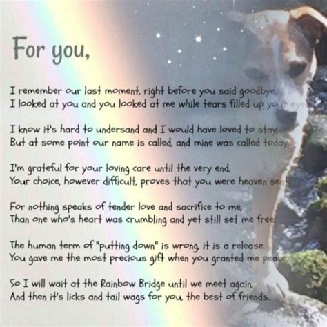 Poems about death of a friend. Pin by patty kimme on clair | Dog poems, Pet remembrance ...