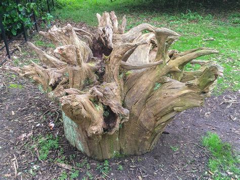 We design and build the unique fletcher capstan table. Tree Stump Kingstone Lacey House Dorset | David Fletcher ...