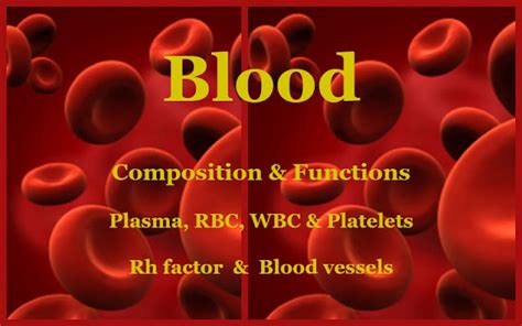 Blood Composition And Functions Plasma Rbc Wbc Platelets