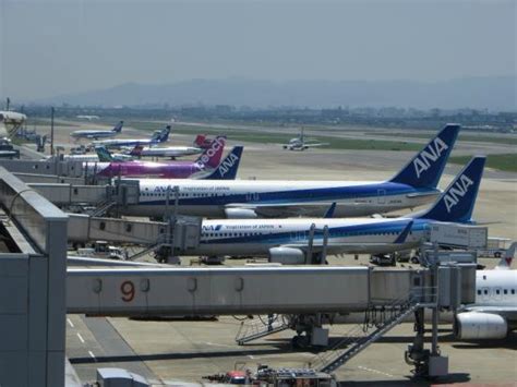 Great Spotting Opportunities Picture Of Fukuoka Airport Domestic