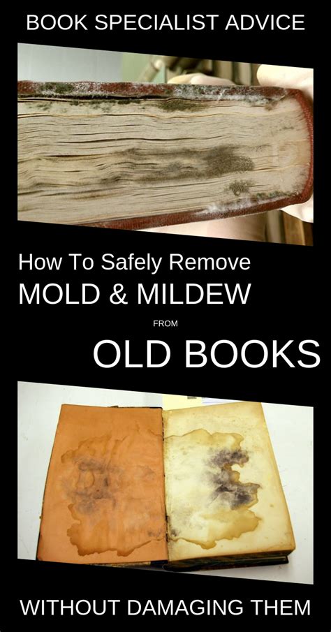 How To Clean Moldy Book Pages Barry Morrises Coloring Pages