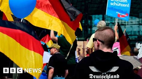 Germany To Spy On Far Right AfD Party Reports Say BBC News