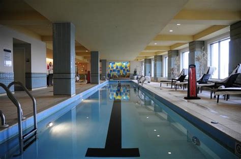 Pool Picture Of Renaissance Boston Waterfront Hotel Boston Tripadvisor