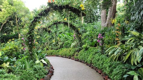 Singapore Botanic Gardens Garden Review Condé Nast Traveler