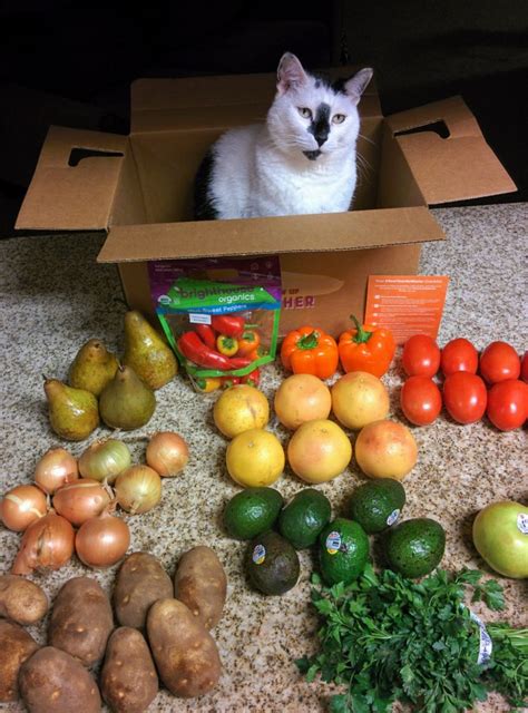 Not only am i getting fresh produce and pantry staples straight to my door, but with every box i am helping to fight food waste. Imperfect Produce Review: The Good, The Bad and The Not So ...
