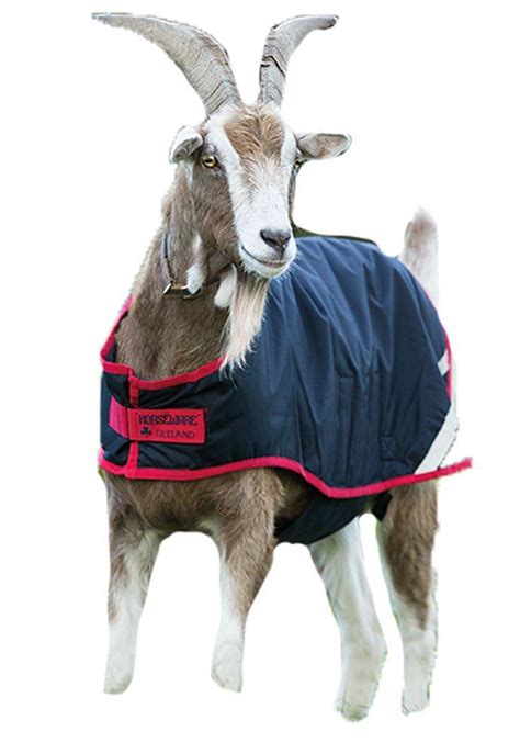 You will only be able to request a quota for the current quarter and the next quarter. Horseware Goat Coat Size:Large Color:Navy/Red >>> You can ...