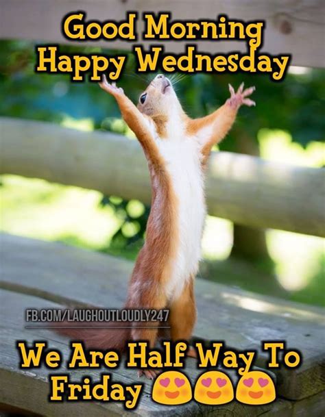 Happy Wednesday Quotes Wednesday Memes Shortquotescc