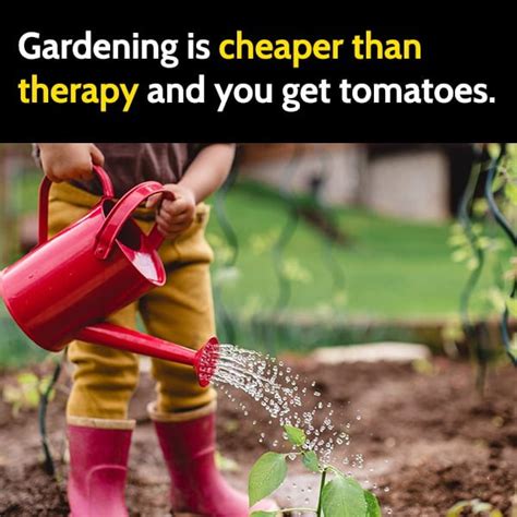 25 funny gardening memes for everyone who loves plants bouncy mustard