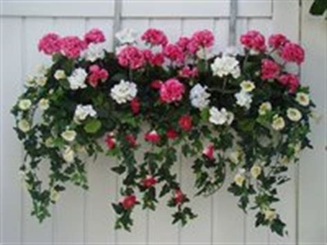 Balkonkasten herbstlich bepflanzen pflanzen blumenkasten balkon. Balkonbepflanzung im Kasten - Kunstpflanze.de