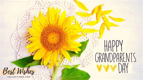 National Grandparents Day Wishes Quotes Messages And Images