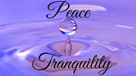 Guided Meditation 10 Minutes Of Tranquility And Peace Youtube