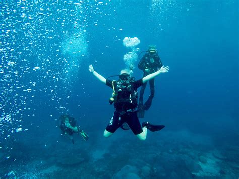 Pin On Bali Diving And Snorkelling