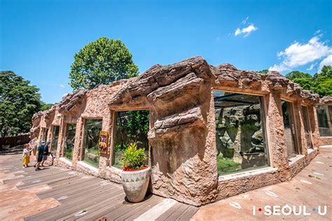 seoul-childrens-grand-park-zoo-9 - 首尔市官方网站