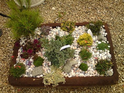75 awesome front yard rock garden landscaping ideas rock. Small rockery : Grows on You